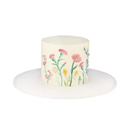 Collapsible Cupcake & Cake Carrier -Lake Land 32961 3