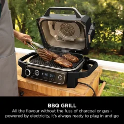 Ninja Woodfire Electric BBQ Grill, Smoker, Air Fryer And Cover Bundle 19 Ninja Woodfire Electric BBQ Grill, Smoker, Air Fryer And Cover Bundle -Lake Land 74419 6