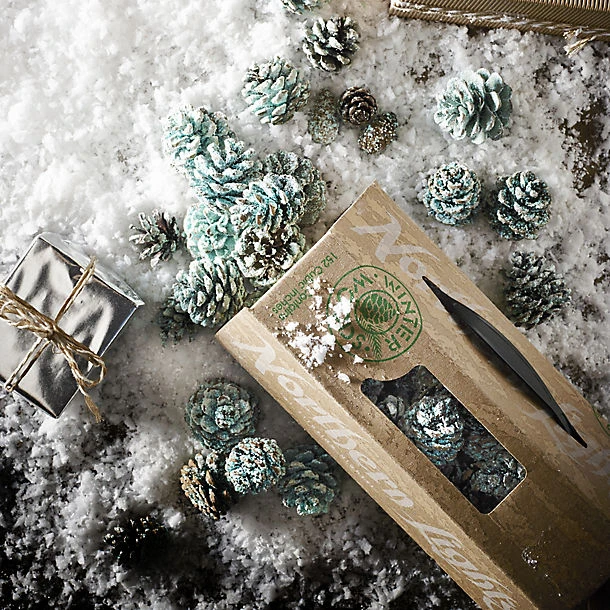 Northern Lights Colour Fire Cones 5 Northern Lights Colour Fire Cones - Image 3